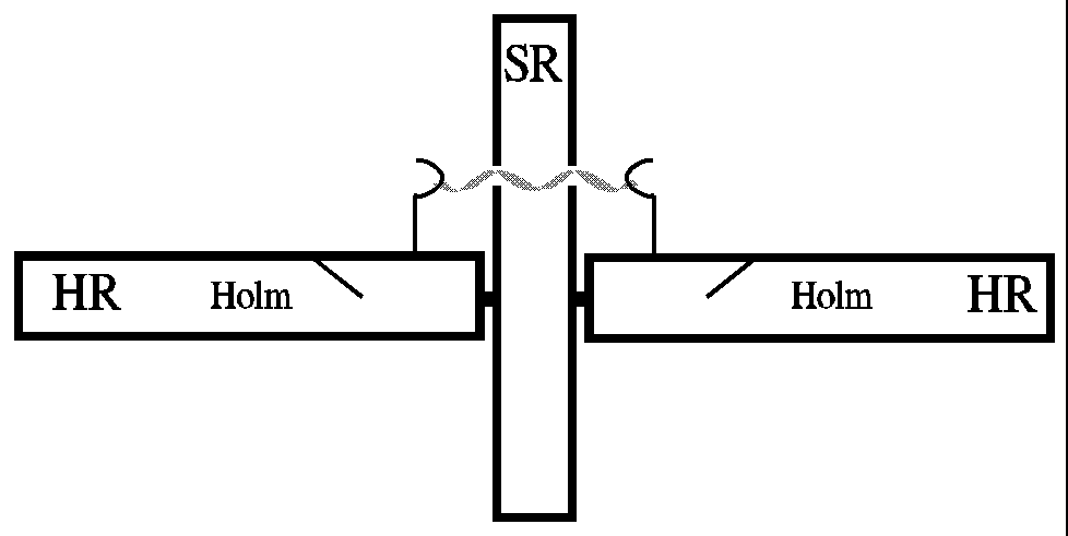 Verbindung der Ruderhälften