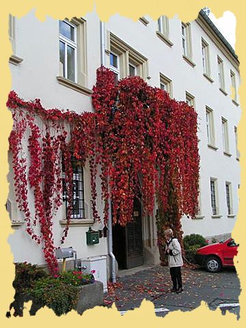 1okt.haus.0002s.jpg
