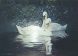 schwanenpaarklein03