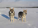 Bragi + Freya