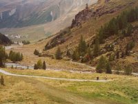 Melager Alm 1970 m &uuml;.N.N