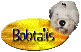 bobt2.gif (17022 Byte)