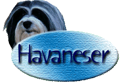hava2.gif (14796 Byte)