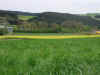 Garten.jpg (16536 Byte)