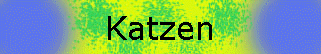 Katzen